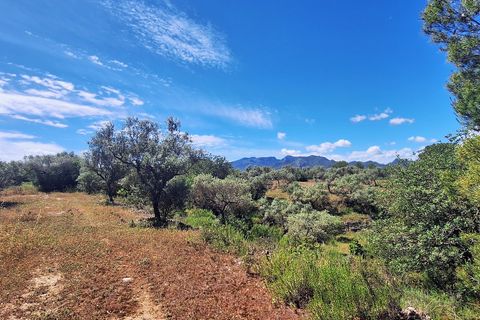Landejendom i Ginestar, Tarragona, Ginestar - € 375.000 | Ref: CC845 - foto 40